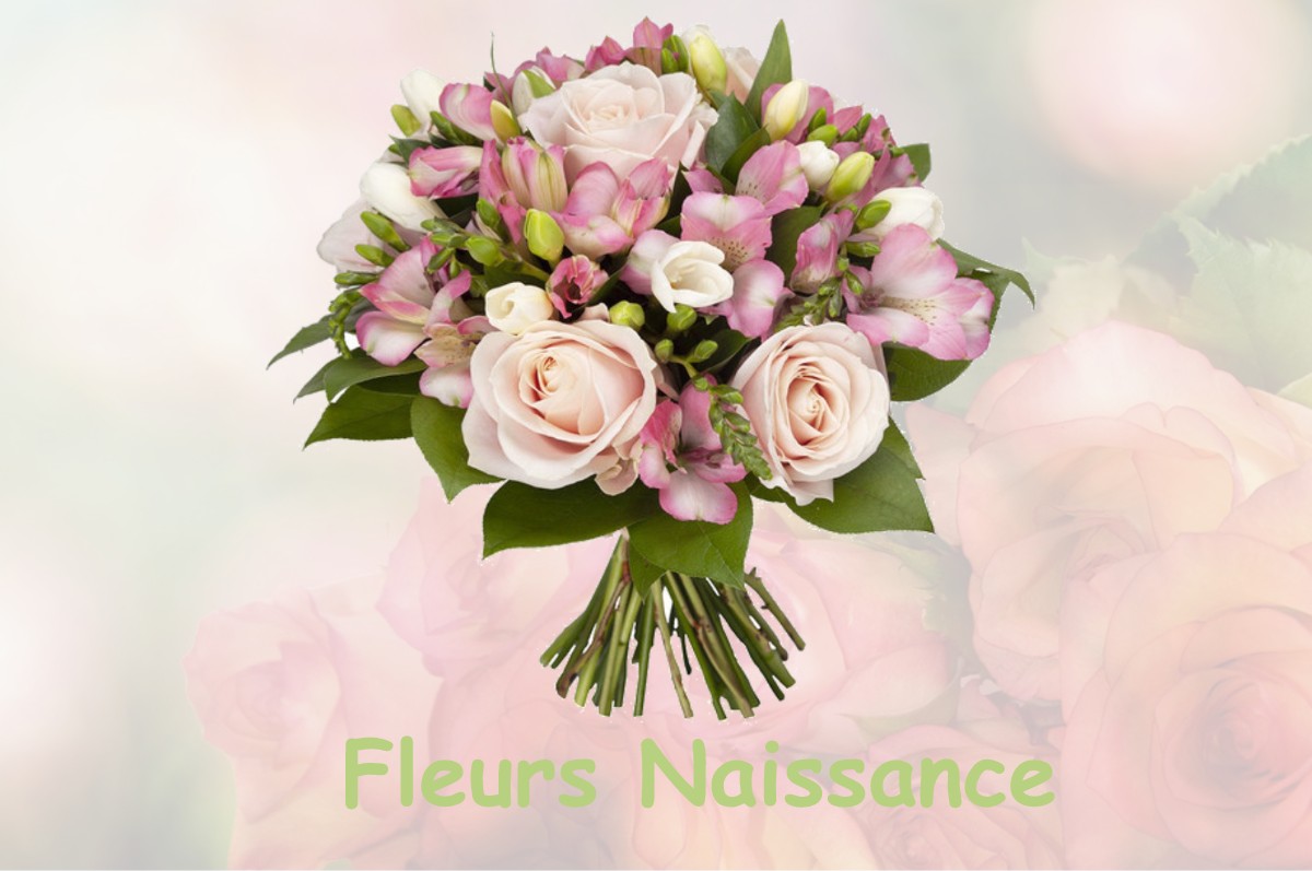 fleurs naissance CLAVY-WARBY